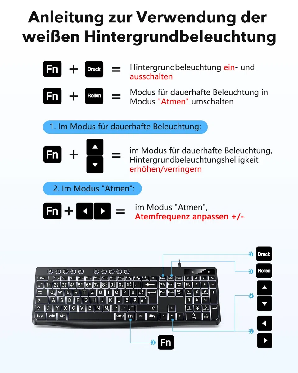 OMOTON Beleuchtete Tastatur, Kabel PC Tastatur, QWERTZ Weiß Beleuchtet mit großem Druck, 2 in 1 USB A/C- Für Senioren, Kinder, Sehbehinderte für Windows mit Multimedia-Tasten
