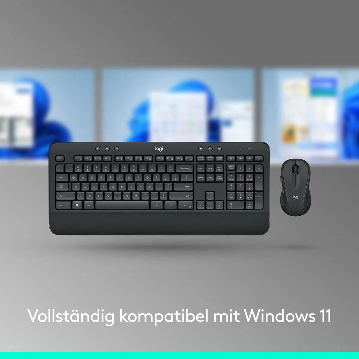 Logitech MK545 Advanced Tastatur-und-Maus-Set kabellos 2,4 GHz Deutsch