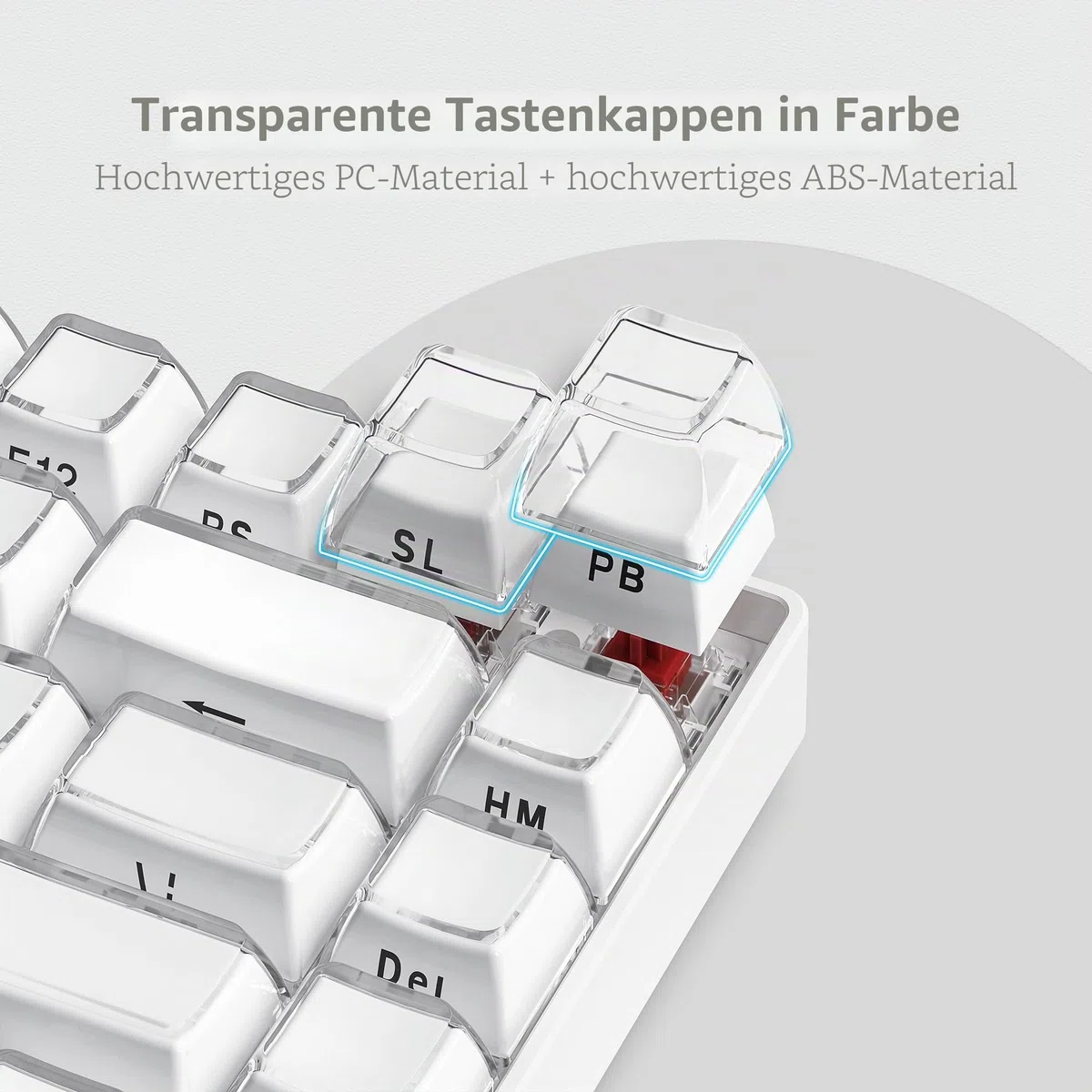 Womier Keycaps – Crystal Jelly Keycaps für 60, 65, 75, 100% Tastaturen, Bedruckte Tastenkappen, 113-Tasten-OEM-Profil für 61/68/84/87/98/100 Cherry Gateron MX mechanische Tastaturen, Weiß