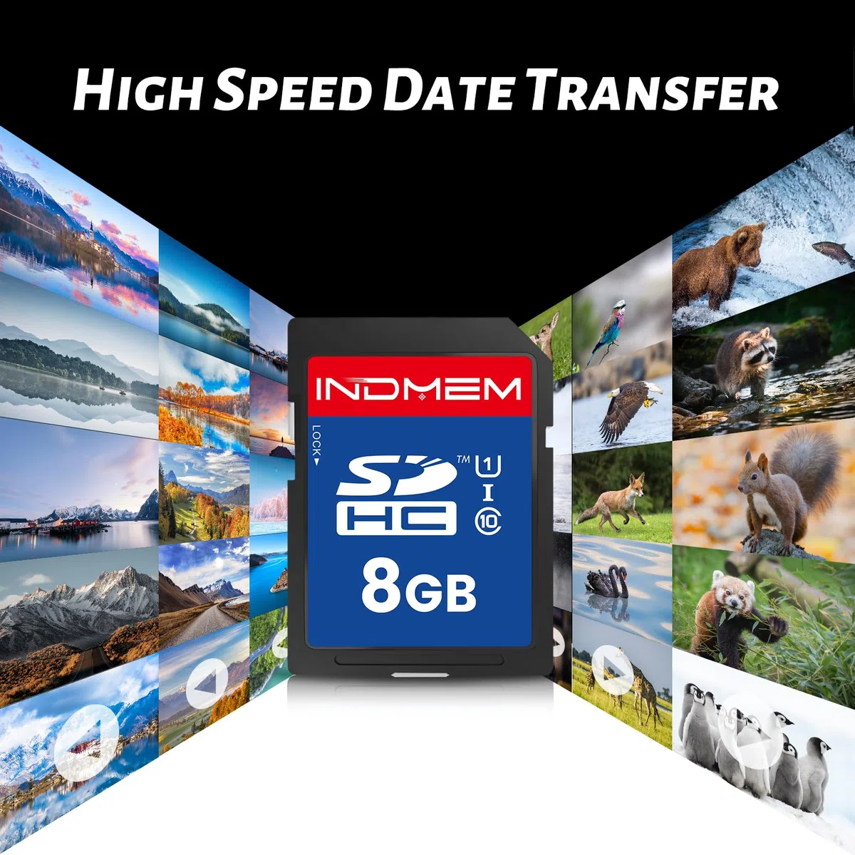 SD Card 8GB, SD Memory Card 8GB UHS-I SDHC U1 Class 10, High Speed Card for Digital Camera, Computer, Trail Camera 5 Packs