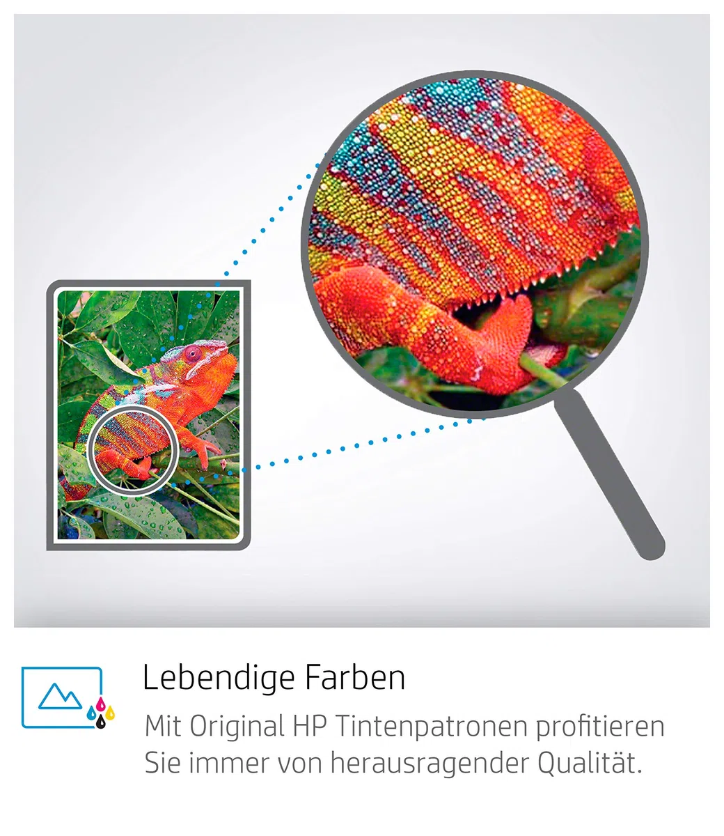 HP 304XL (N9K08AE) Original Druckerpatrone Schwarz mit hoher Reichweite für HP DeskJet 26xx, 37xx, ENVY 50xx